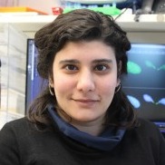 Benura Azeroglu