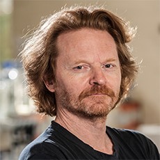 Pierre Vanderhaeghen