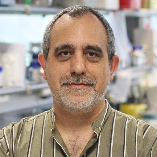 José Antonio Enríquez Domínguez