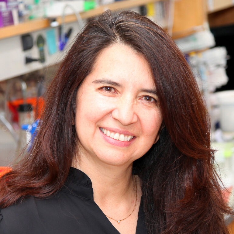 Vivian Gama
