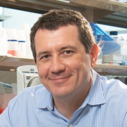 Roberto Bonasio